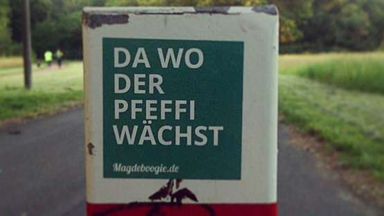 Geh‘ doch dahin, wo…