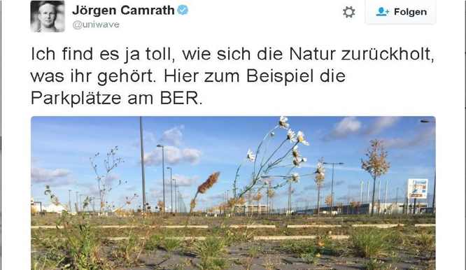 Die Natur auf dem Berliner Flughafen wächst schneller als der Berliner Flughafen