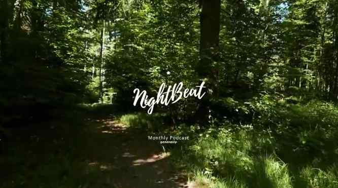 Suhov – Night Beat | Ein musikalischer Spaziergang durch den Wald