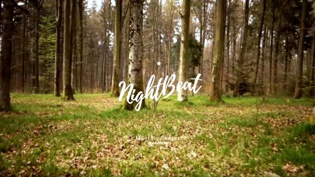 Suhov – Night Beat | Spaziergangstunes durch den Wald II