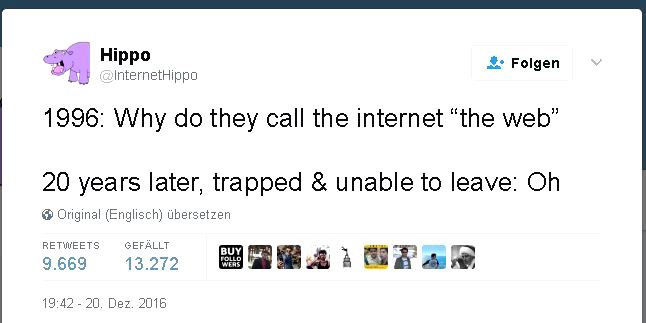 Warum wird das Internet eigentlich auch „Netz“ gennant?