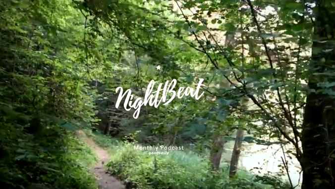 1-stündiges Mixtape mit Waldspaziergang: Suhov – Night Beat (April)