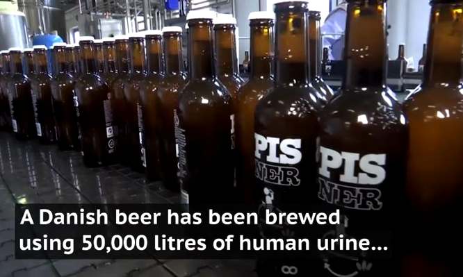 Roskilde: Brauerei verwendet Festival-Urin, um Craft-Bier zu produzieren