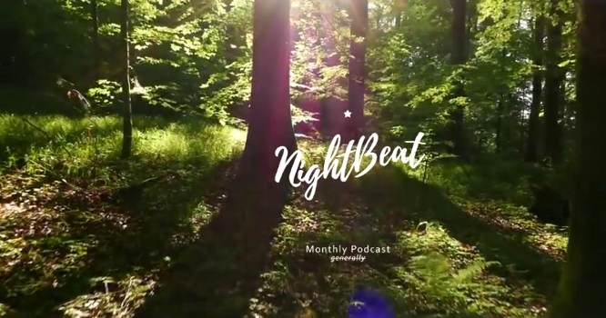 Maispaziergang durch den Wald: Suhov – Night Beat