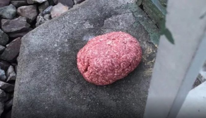 Mystery-Mett: Jeden Montag hinterlässt irgendwer ein Pfund Hack am Bahnhof in Pfinztal