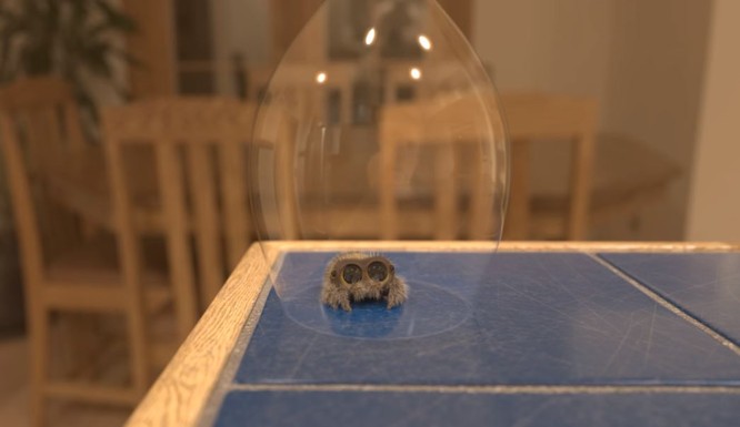 Lucas the Spider – Captured