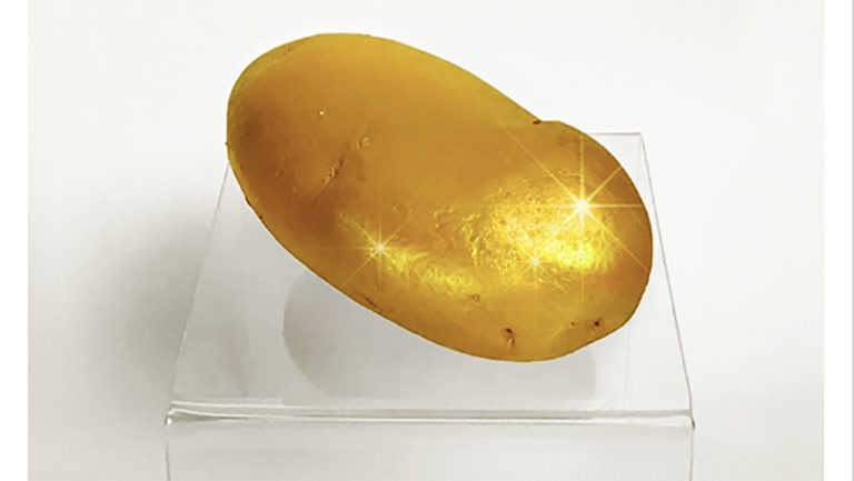 Und die goldene Kartoffel geht an: Julian Reichelt