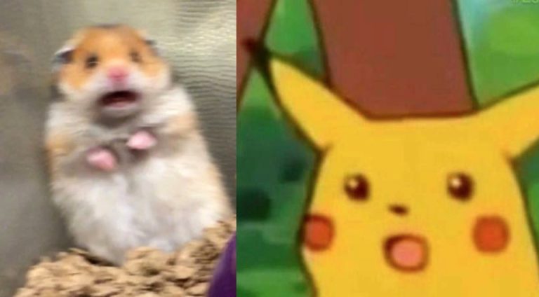 Memes lookin like Memes