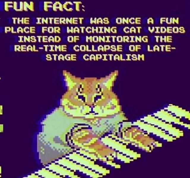 Internet-Cats Of Late Capitalism
