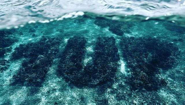 1UP-Crew bastelt erstes 3D-Korallen-Graffiti