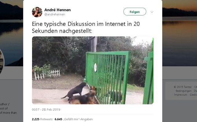 Internet-Comment-Fight (Doggy-Style)
