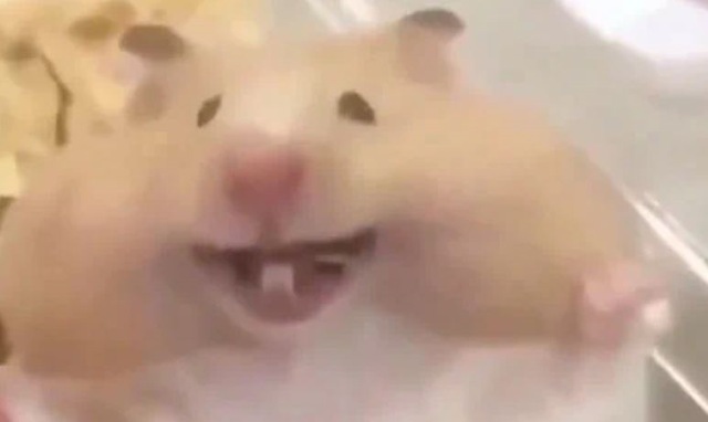 Ein sehr sehr sehr glücklicher Hamster