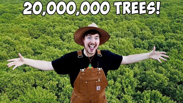 #TeamTrees: YouTuber möchte 20 Mio Bäume pflanzen