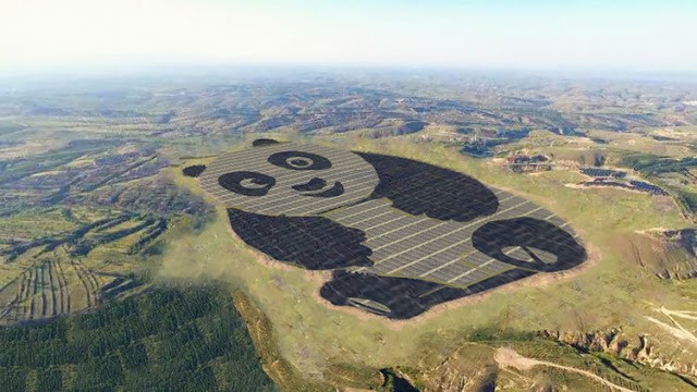 Sonnenergie aus Pandabären