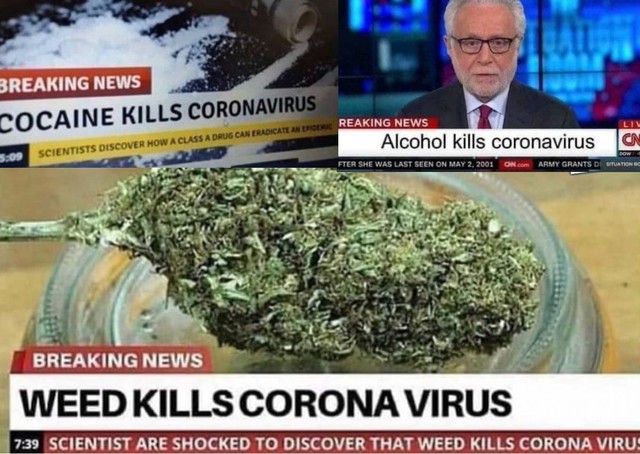 Die 3 besten Fake-Corona-News für ein sehr schönes Wochenende