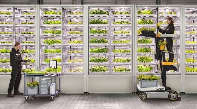 Urban Farming im Supermarkt