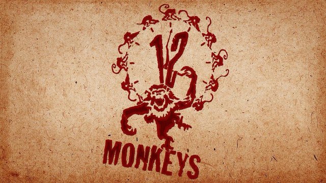 Affen stürmen indisches Labor und klauen Corona-Blut-Proben