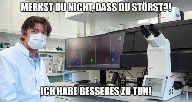 Wenn Wissenschaftler eine Anfrage von der BILD bekommen