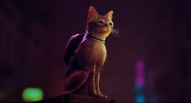 Cyber-Cat 2077