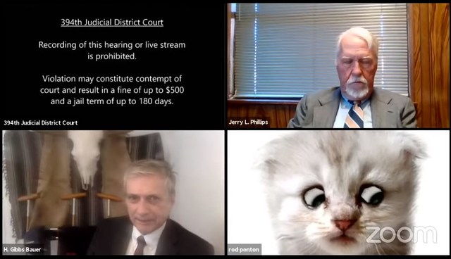Anwalt taucht als Katze in Gerichtsverhandlung auf und versichert: „I’m not a Cat“🙀