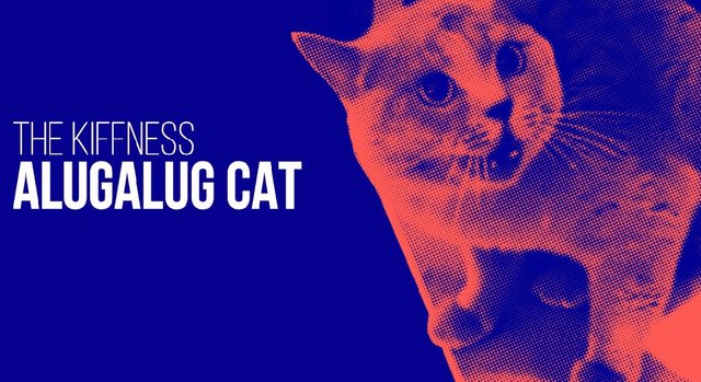 Meme-Remix: The Kiffness x Alugalug Cat